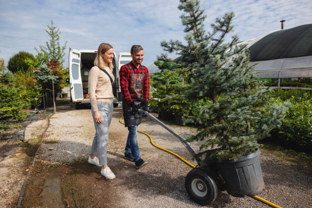 Best Tree Trimming Near Me  in Lake Park, FL